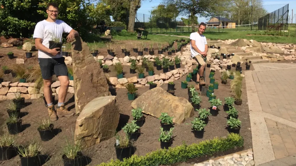 garden planting up in progress rune